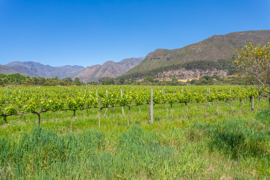 0 Bedroom Property for Sale in Franschhoek Rural Western Cape